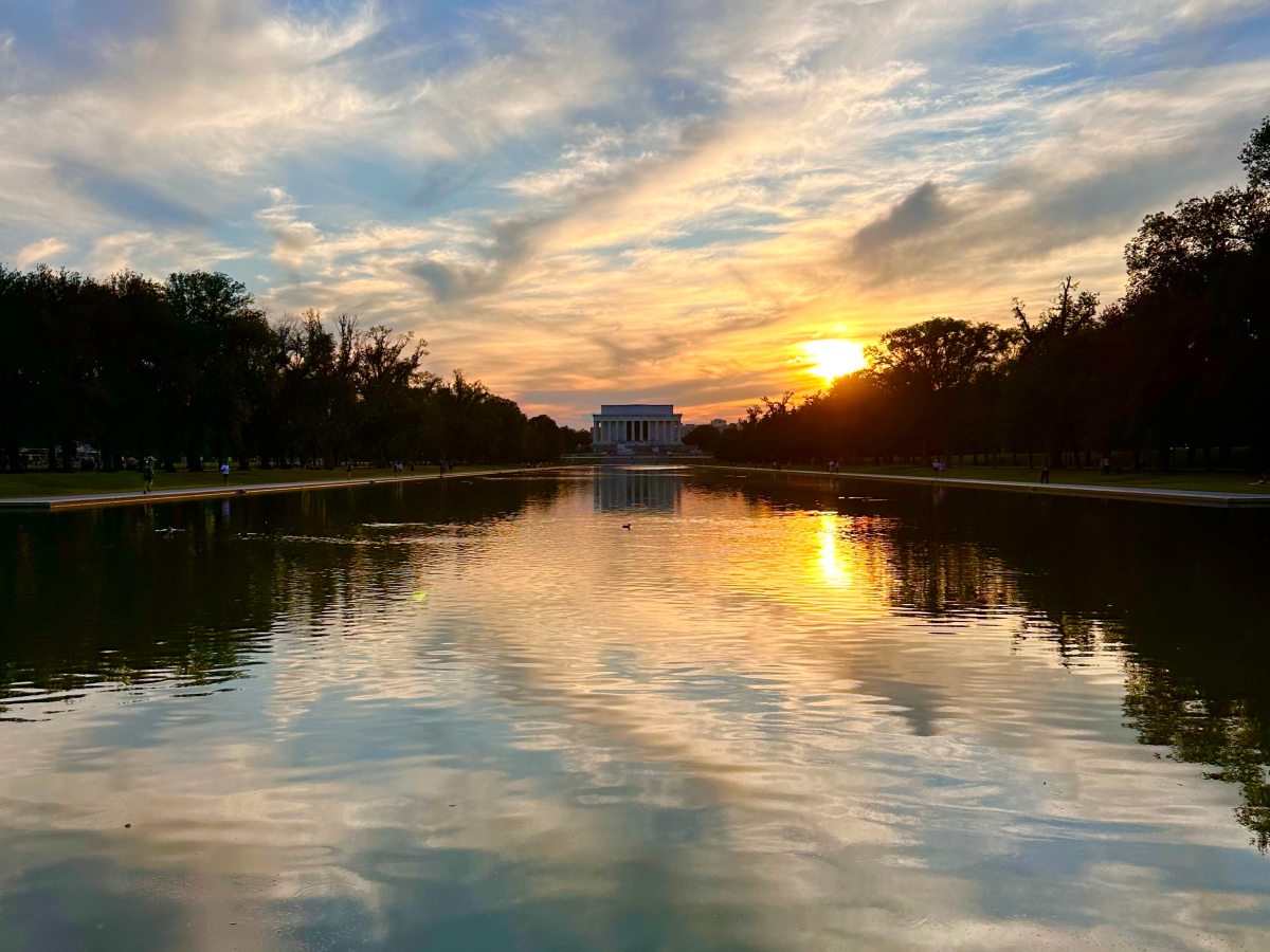 2025 DC Bug&nbsp;Hunt